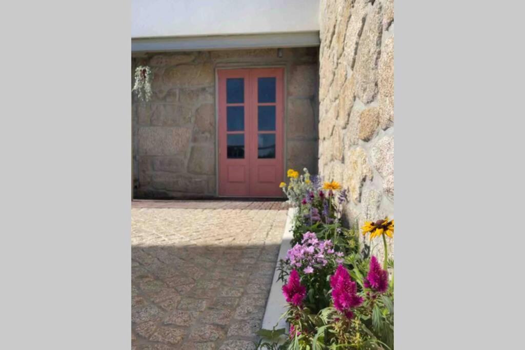 Ferreiro  Porto-Braga Family Country House מראה חיצוני תמונה